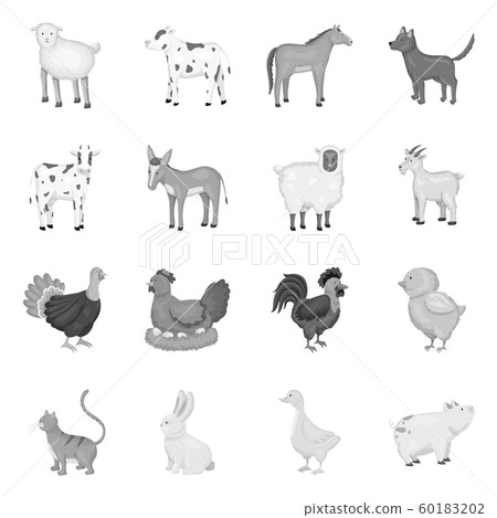 Vector design of homestead and agriculture icon. Collection of homestead and kitchen stock symbol for web. 60183202
