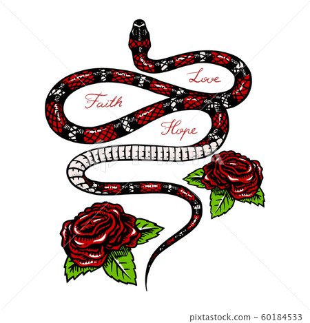 Milk snake with flowers in Vintage style. Serpent cobra or python or poisonous viper. Engraved hand Milk snake with flowers in Vintage style. Serpent cobra or python or poisonous viper. Engraved hand 60184533