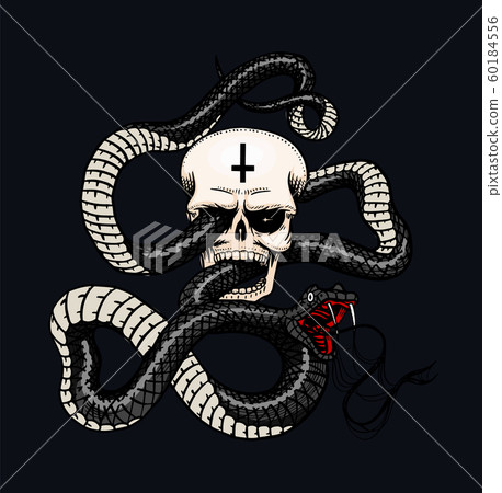 Snake with a skull in Vintage style. Serpent cobra or python or poisonous viper on a black Snake with a skull in Vintage style. Serpent cobra or python or poisonous viper on a black 60184556