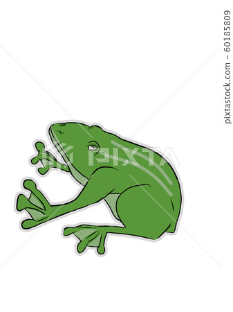 Green frog Green frog 60185809