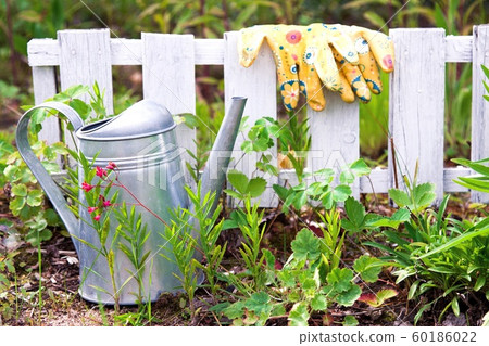 Outdoor gardening tools in garden in spring. Outdoor gardening tools in garden in spring. 60186022