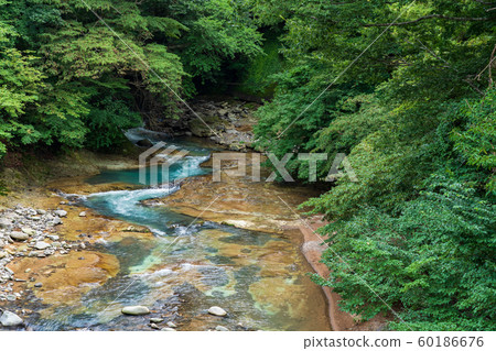 To木縣那須鹽原市Shikabara Onsen az沼河(8月) To木縣那須鹽原市Shikabara Onsen az沼河(8月) 60186676
