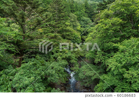 Shikabara Onsen Kazuma River (August), Nasushiobara, Tochigi Prefecture 60186683