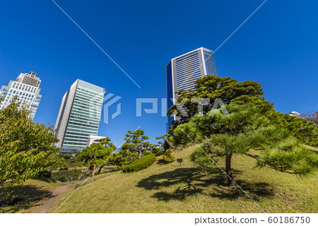 老Shiba Rikyu皇家庭院風景 60186750