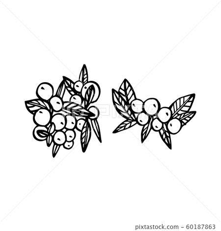 Christmas winter plants, flowers and berries. Greeting card invitation with xmas graphic. Vintage illustration. 60187863