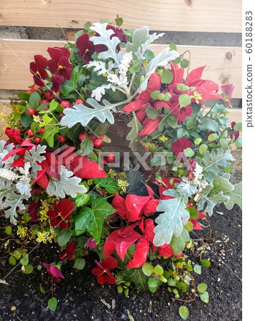 Christmas wreath  60188283