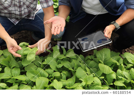 Farmers and their advisors Is monitoring the 60188554