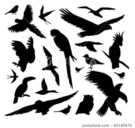 Vector set bundle of black wild birds silhouette 60190478