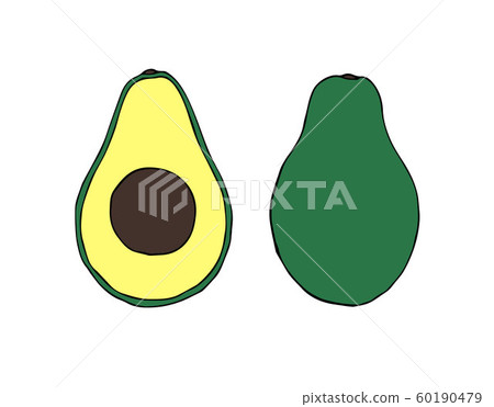 Vector hand drawn doodle sketch colored avocado 60190479