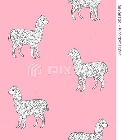 Vector seamless pattern of hand drawn white alpaca 60190490