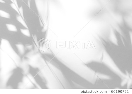 gray shadow of the leaves on a white wall 60190731