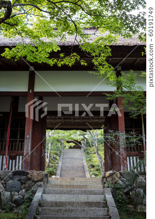 Jorikoji Temple, Blue Maple at Deva Gate 60191749