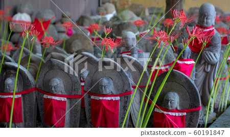 Jizo of Senmon-ji Temple and the red cluster amaryllis Jizo of Senmon-ji Temple and the red cluster amaryllis 60191847