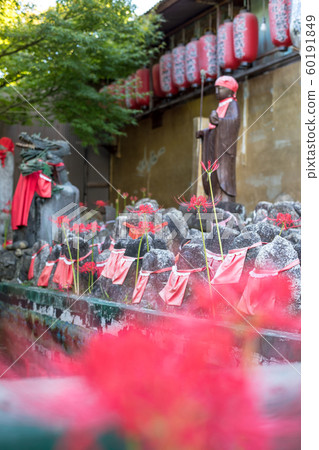 Jizo of Senmon-ji Temple and the red cluster amaryllis 60191849