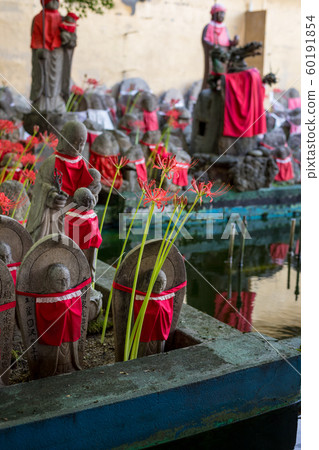 Jizo of Senmon-ji Temple and the red cluster amaryllis 60191854
