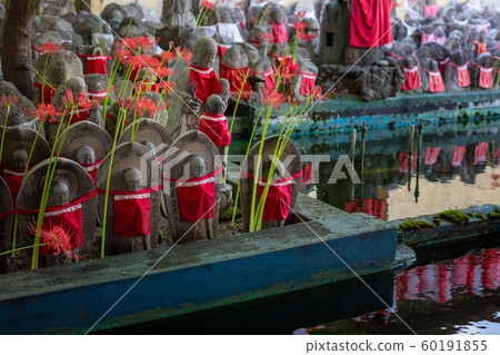 Jizo of Senmon-ji Temple and the red cluster amaryllis 60191855