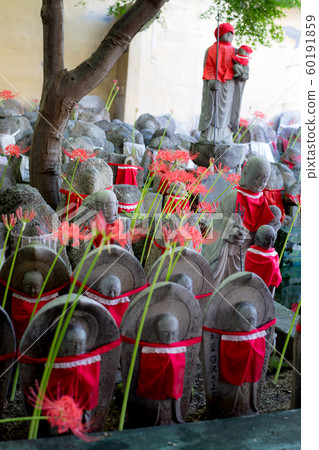 Jizo of Senmon-ji Temple and the red cluster amaryllis 60191859