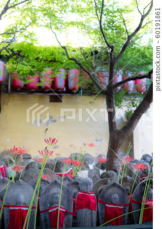 Jizo of Senmon-ji Temple and the red cluster amaryllis 60191861
