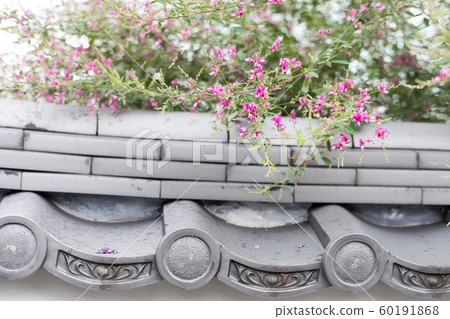 In front of Daikakuji Gate 60191868