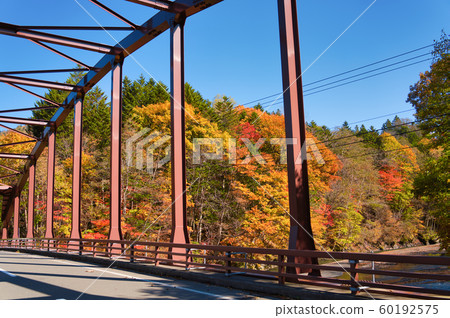 Tomlaus in autumn Tomlaus in autumn 60192575