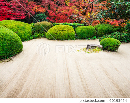 Kyoto Shiseido in autumn 60193454