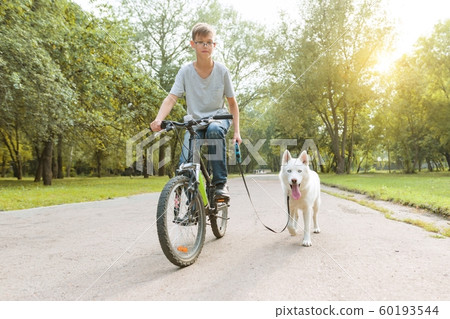 Boy with a white husky dog on bicycle in the park Boy with a white husky dog on bicycle in the park 60193544