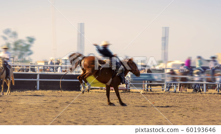 Bucking Saddle Bronc Riding 60193646
