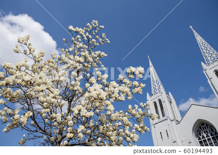 Nagoya City Landscape / Nuike Catholic Church Nagoya City Landscape / Nuike Catholic Church 60194493