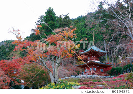 Katsuo-ji 60194871