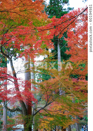 Katsuo-ji Katsuo-ji 60194981