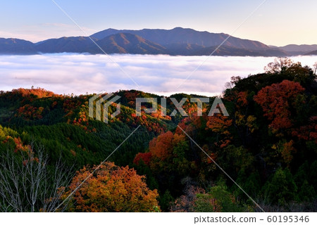 Sea of clouds in the Kameoka basin 60195346