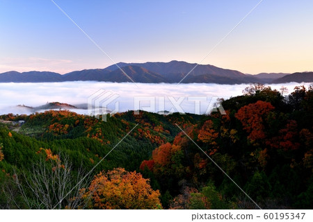 雲彩海在Kameoka盆地的 60195347