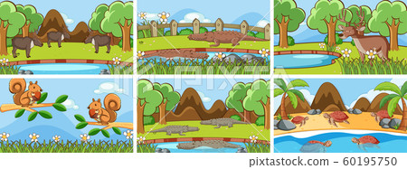 Background scenes of animals in the wild Background scenes of animals in the wild 60195750