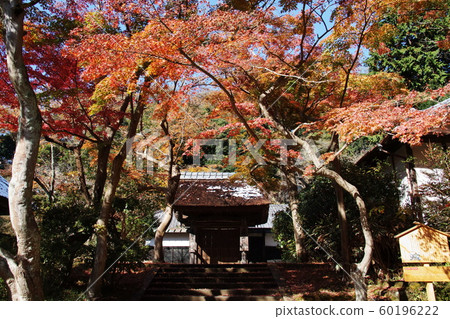 Engakuji temple Engakuji temple 60196222