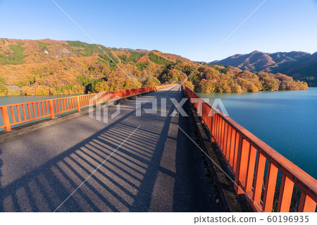 草湖秋葉 60196935