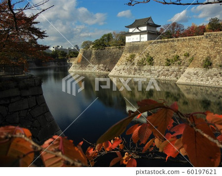 Osaka Castle and autumn leaves Osaka Castle and autumn leaves 60197621