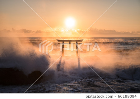Torii torii Torii torii 60199094