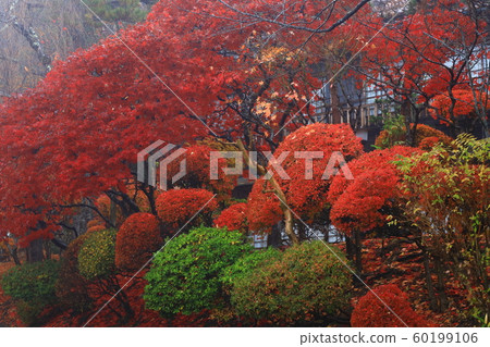 花卷溫泉老書院 花卷溫泉老書院 60199106