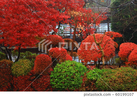 花卷溫泉老書院 花卷溫泉老書院 60199107