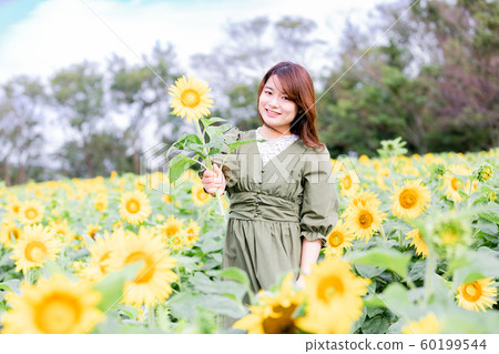 Sunflower field female young 60199544