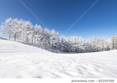 Daegwallyeong snowed 60200366