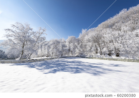 大關嶺下雪了 60200380