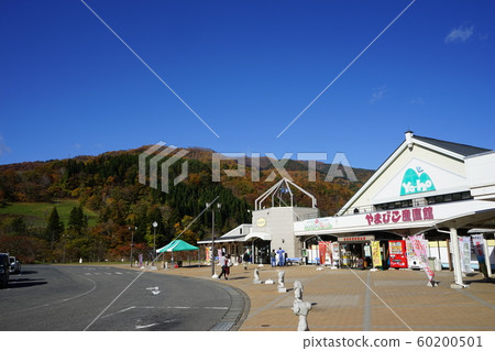 Road Station Yamabikokan 60200501