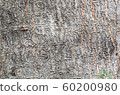 Nature Background 60200980