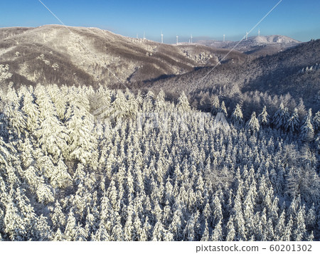 Korea's Winter Daegwallyeong Viewed from a Drone Korea's Winter Daegwallyeong Viewed from a Drone 60201302