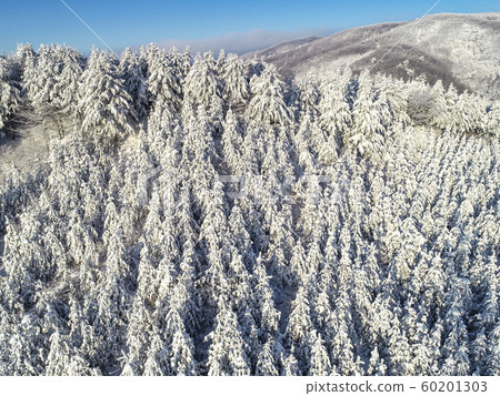 Korea's Winter Daegwallyeong Viewed from a Drone Korea's Winter Daegwallyeong Viewed from a Drone 60201303