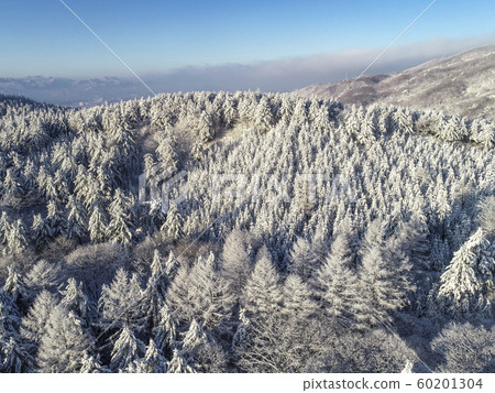 Korea's Winter Daegwallyeong Viewed from a Drone Korea's Winter Daegwallyeong Viewed from a Drone 60201304