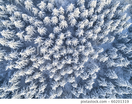 Korea's Winter Daegwallyeong Viewed from a Drone Korea's Winter Daegwallyeong Viewed from a Drone 60201319