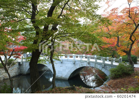 Autumn Story, Autumn Scenery, SunWunsa 60201474