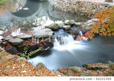 Autumn Story, Autumn Scenery, SunWunsa Autumn Story, Autumn Scenery, SunWunsa 60201489